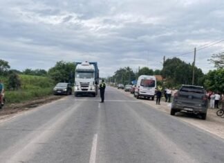 El Chañar: murió una nena de 10 años atropellada en la Ruta 304.