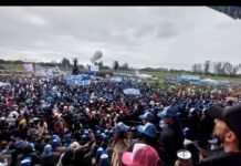 EL Peronismo libertario y la política del choripán.