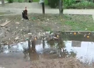 Siempre la SAT: cinco días de líquidos cloacales en barrio Riera.