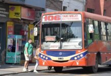 Lunes feriado: así funcionarán los servicios municipales en SMT.