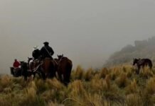 Búsqueda de Raúl Moyano: se extiende a las quebradas del cerro.