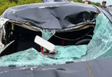 Dos tucumanos heridos tras chocar contra una vaca en Santiago.