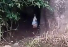 Aguilares: encontraron una imagen de la Virgen del Valle en un monte (video).